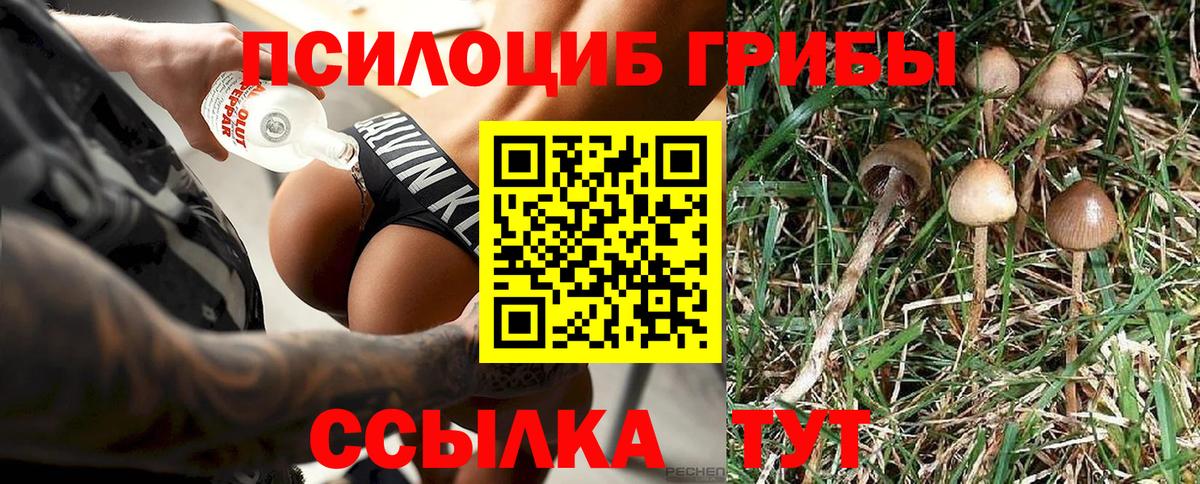 Галлюциногенные грибы прущие грибы Белгород