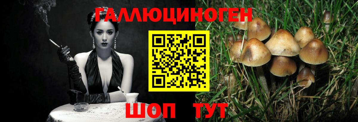 наркотики  Вход с VPN  Белгород  Галлюциногенные грибы мухоморы 
